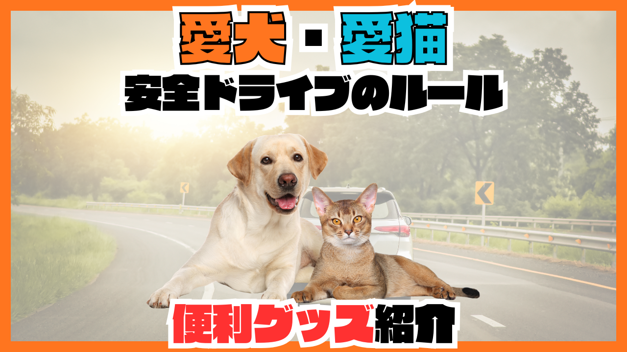 スタッフブログ | ページ 3 | オフィシャルブログ｜軽自動車専門店 