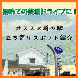 初めての茨城ドライブに！おすすめ道の駅と立ち寄りスポット📍🚘✨