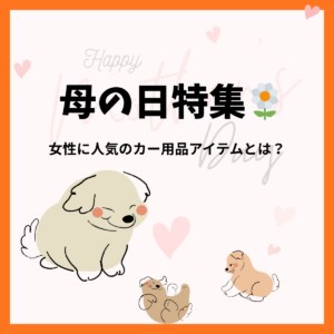 母の日に贈るカー用品ギフト特集！女性に人気の便利アイテムまとめ🌼🚙