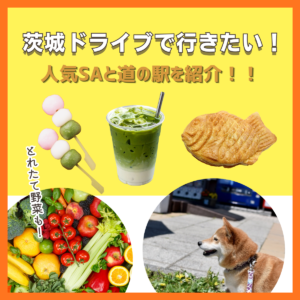 茨城ドライブで行きたい！人気サービスエリアと道の駅を徹底紹介