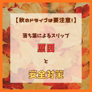 秋のドライブは要注意!落ち葉によるスリップの原因と安全対策🍂🚗