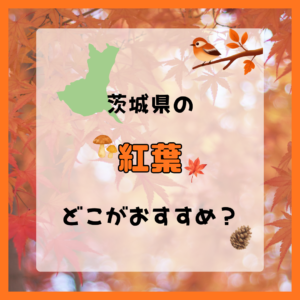 茨城県の紅葉はどこがおすすめ？人気スポット・見頃・楽しみ方を解説 🍁🚗
