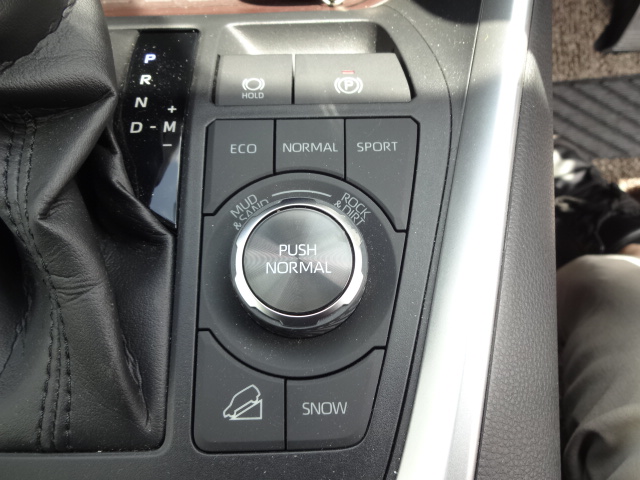 トヨタ　ＲＡＶ-４　G Zパッケージ17枚目