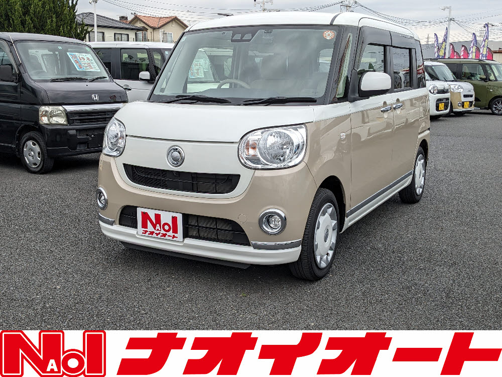 ムーヴキャンバス X