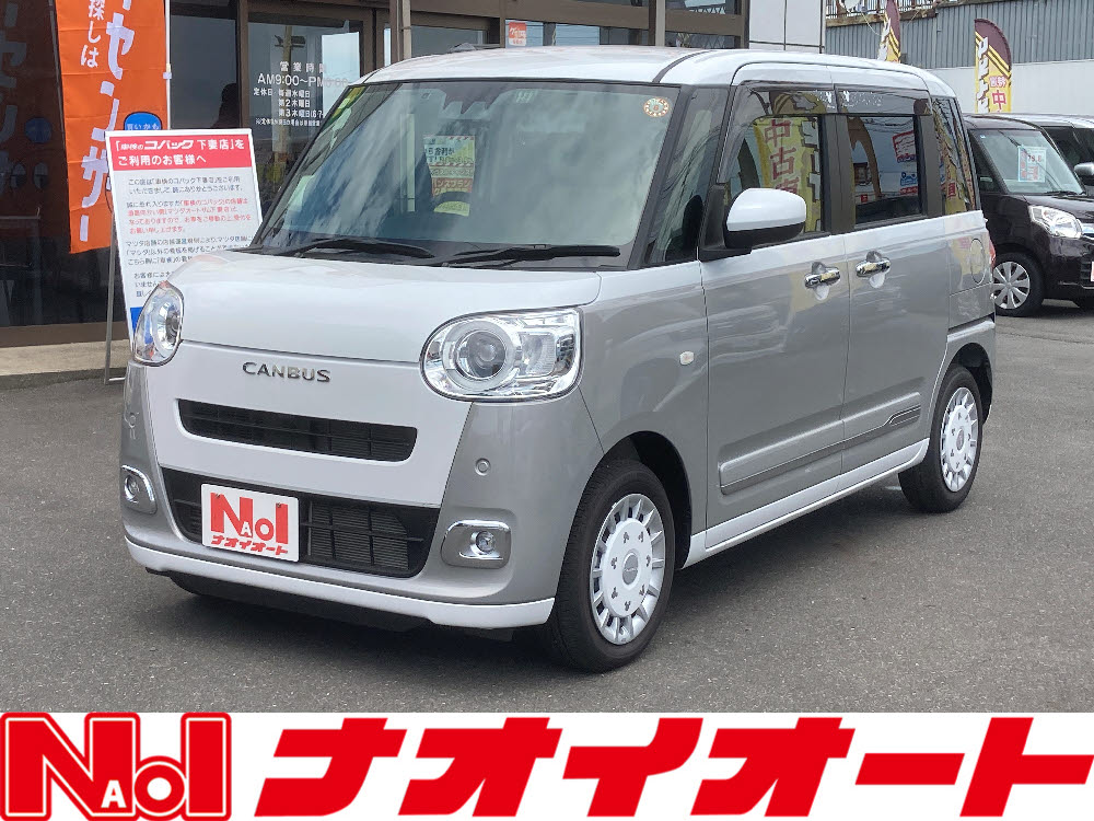 ムーヴキャンバス　STRIPS　G