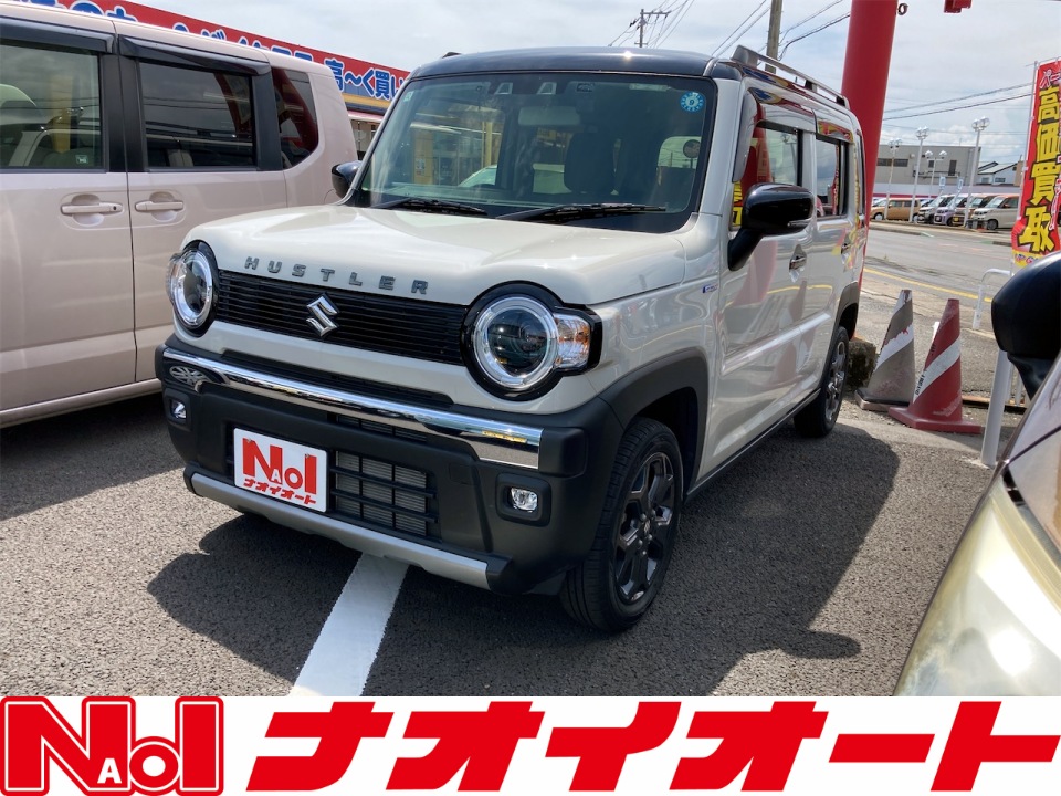 ハスラー　タフワイルド