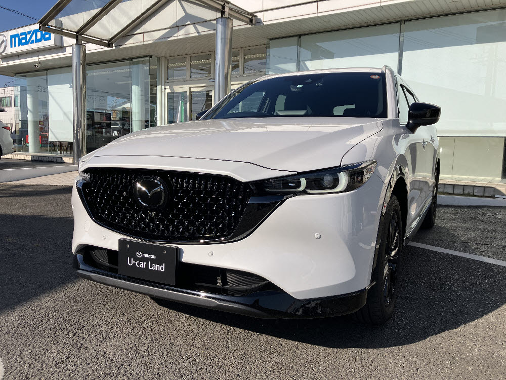 CX-8 XD Sports Appearance