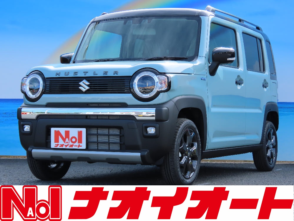 ハスラータフワイルド　3型　ODレス