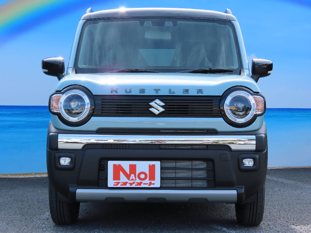 スズキ　ハスラータフワイルド　3型　ODレス1枚目