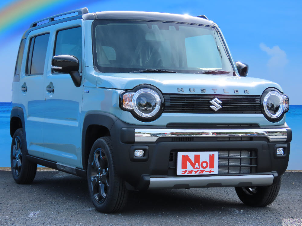 スズキ　ハスラータフワイルド　3型　ODレス2枚目