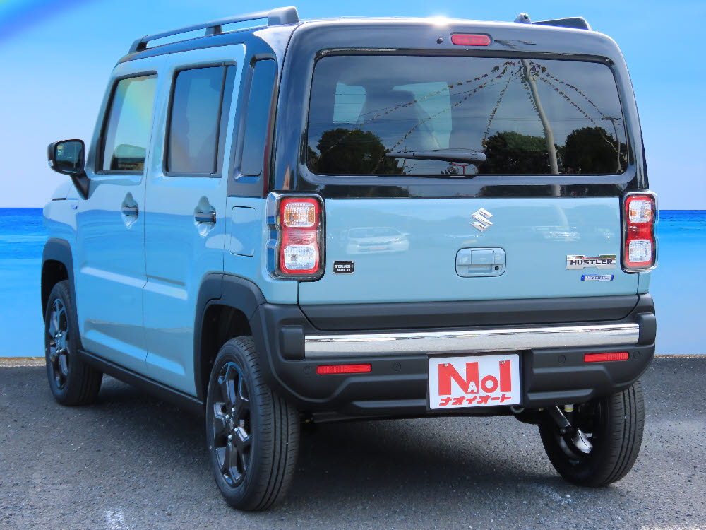 スズキ　ハスラータフワイルド　3型　ODレス6枚目
