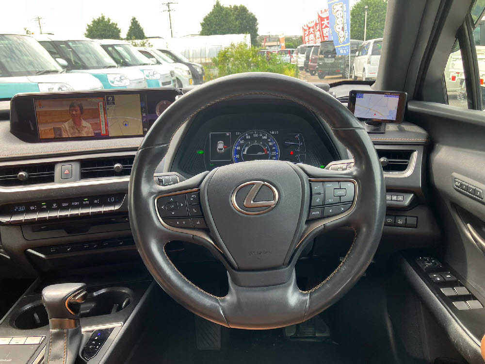 トヨタ レクサス UX250h バージョンC12枚目