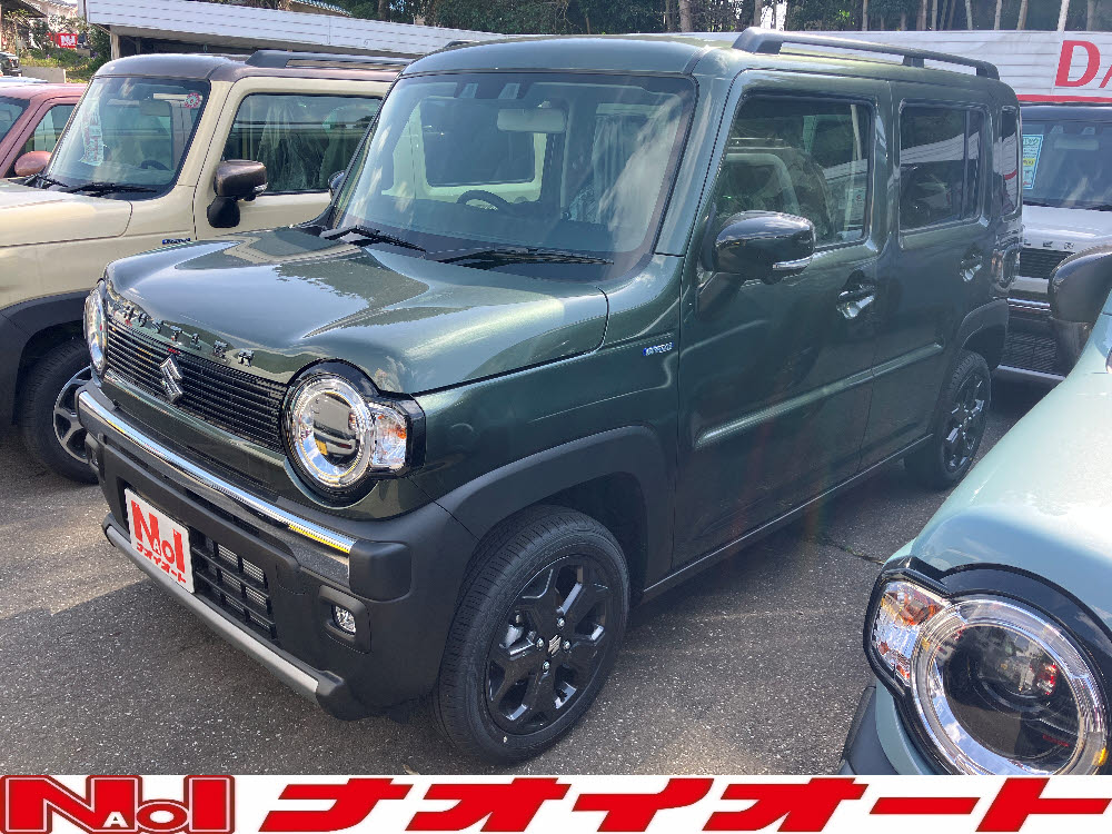 ハスラー　タフワイルド ナビ付