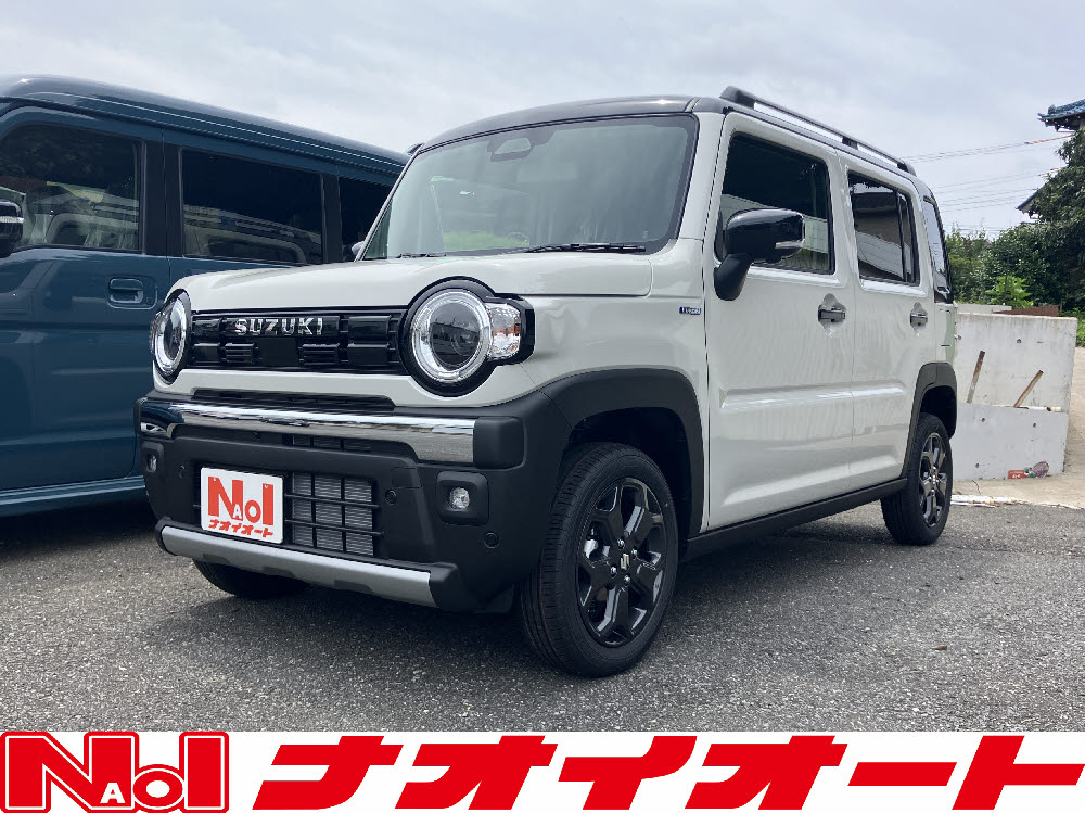 ハスラー　タフワイルド　全方位ナビ　4型 