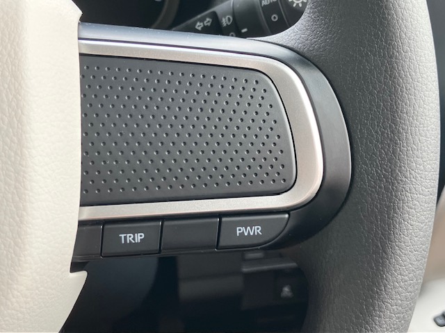 ダイハツ　ムーヴキャンバス　ストライプス G ODレス16枚目