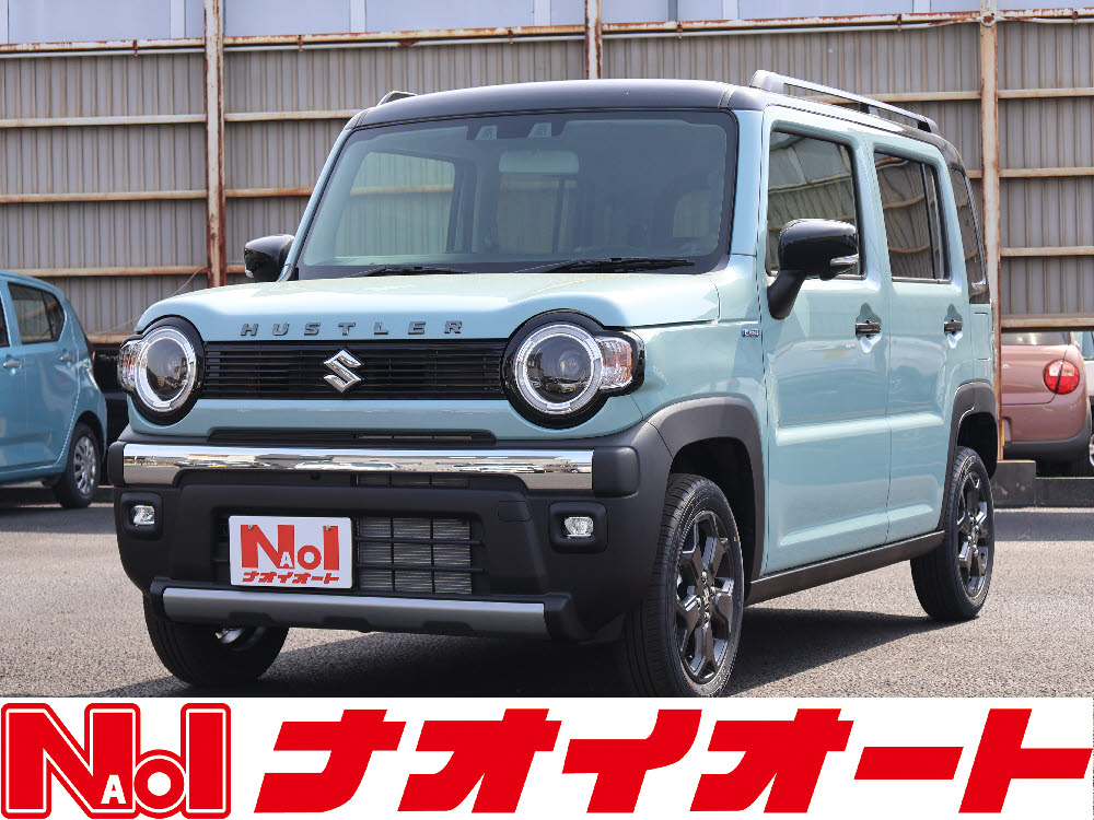 ハスラー　タフワイルド　ナビ付