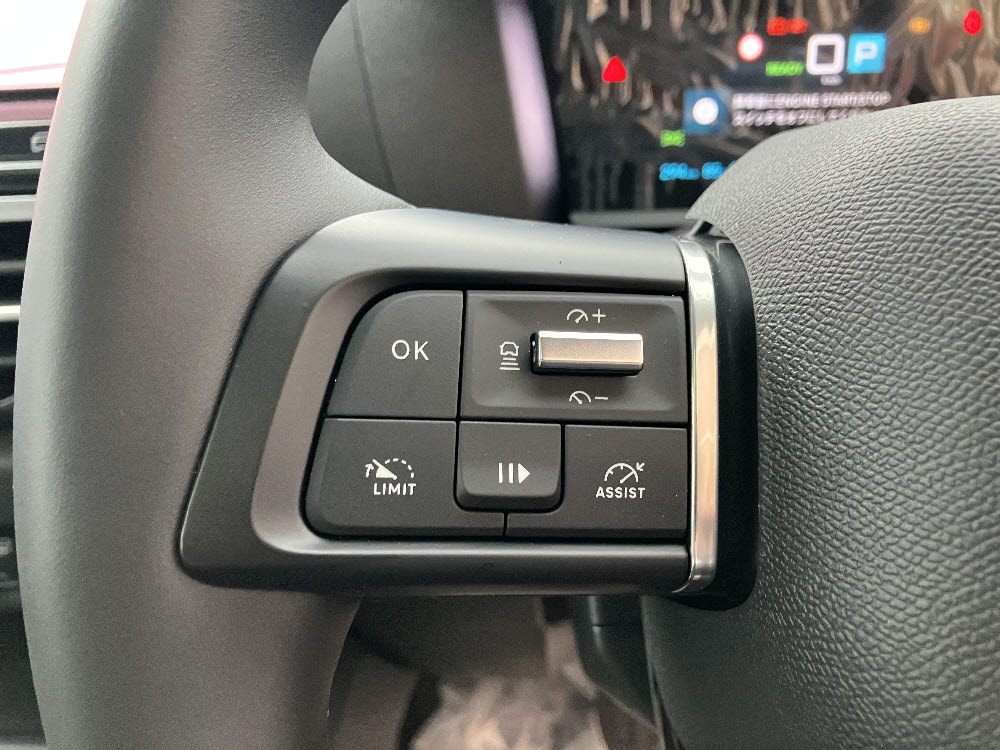 EC4 MAX EV ガンメタ <試乗車>17枚目