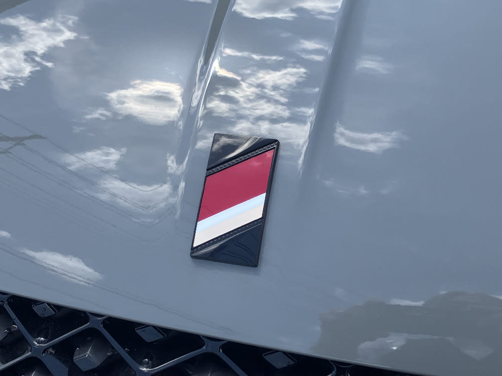 DS3 PERFORMANCE LINE グリラケ2枚目