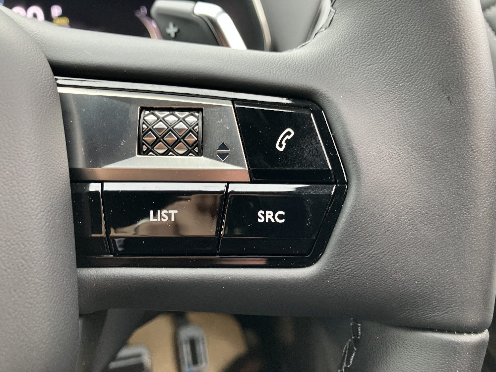 DS7 RIVOLI E-TENSE PHV グリラケ16枚目