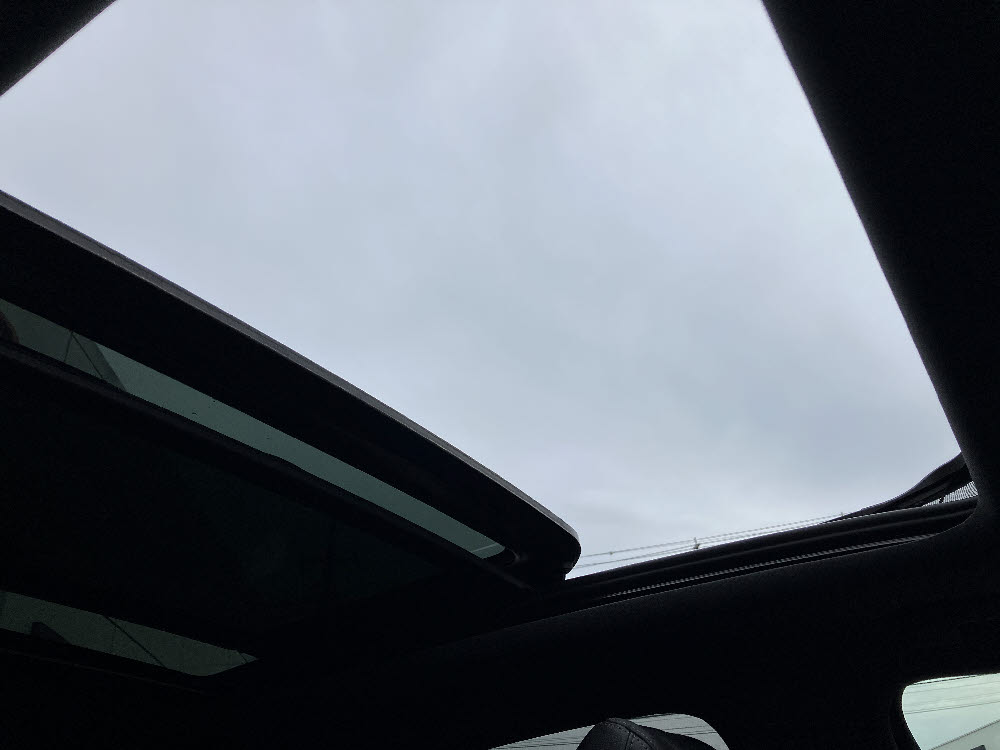 DS7 RIVOLI E-TENSE PHV グリラケ19枚目