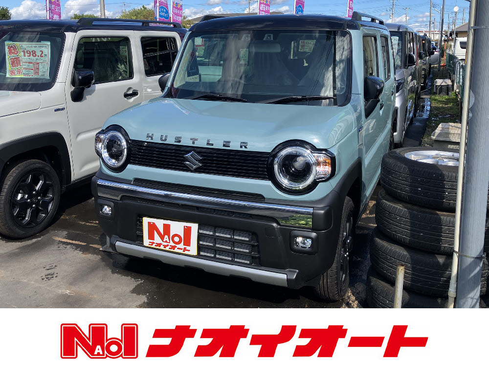 ハスラー タフワイルド(ナビ付）