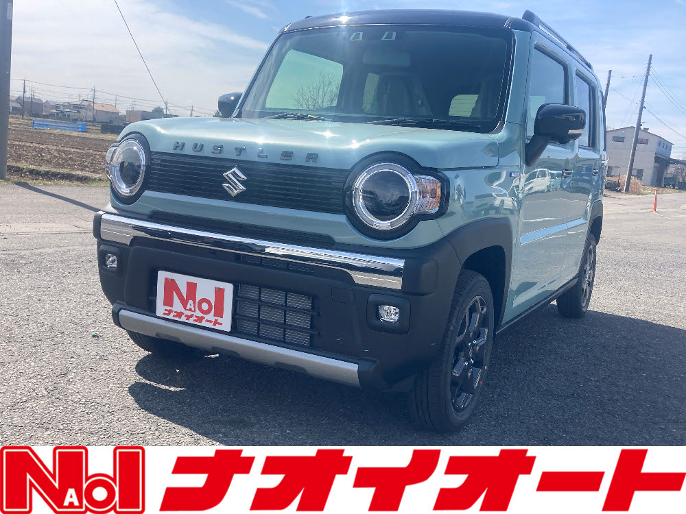 ハスラー　タフワイルド　全方位ナビ付