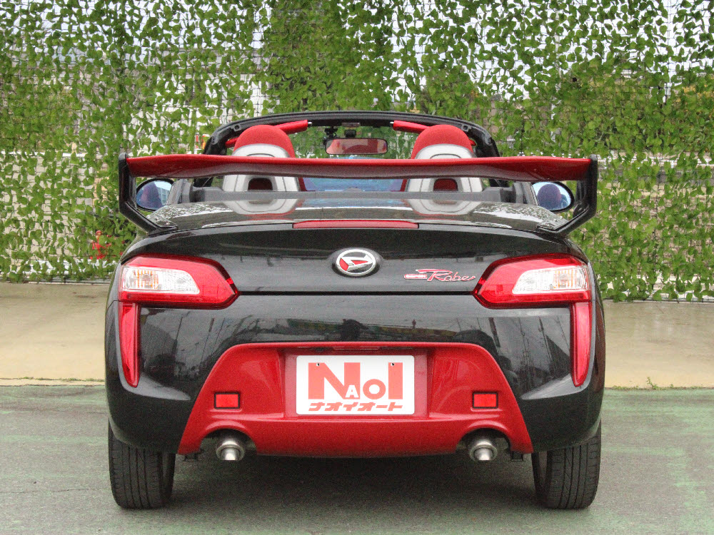 ダイハツ　コペン　ローブカラーインフォメーションタイプA5枚目