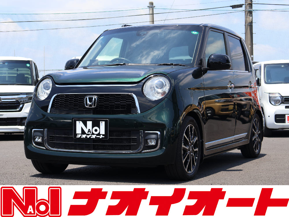 Ｎ ＯＮＥ　プレミアムツアラーローダウン